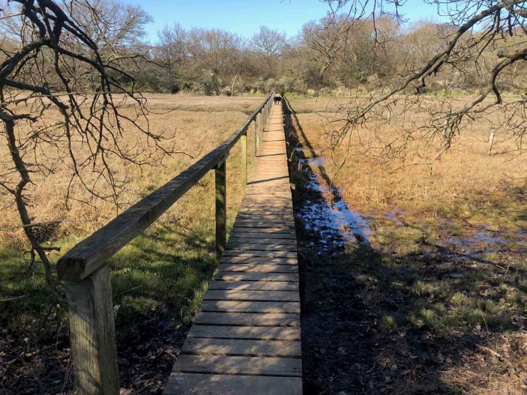 hamstead board walk