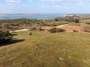 headon warren looking east down the solent