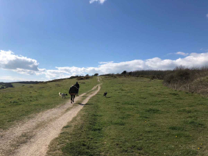 walking up mottistone downs