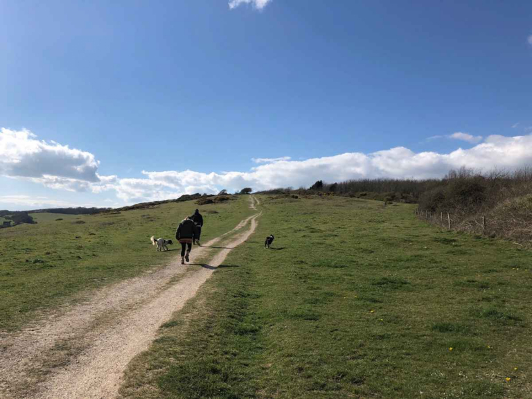 Walking On The Isle Of Wight Popular Routes And Trails For All Abilities Walking On The Isle Of Wight Popular Routes And Trails For All Abilities